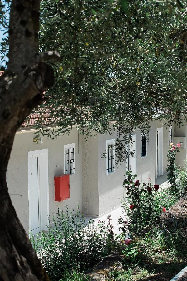 Olive Grove Poolside
