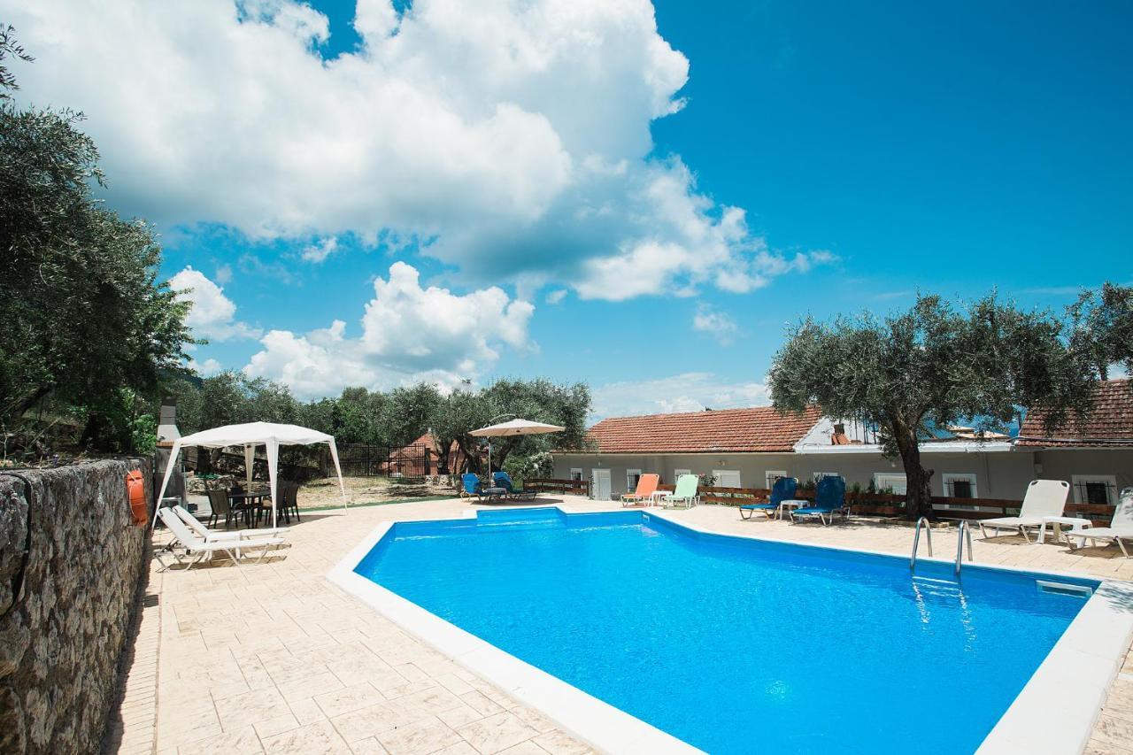 Olive Grove Poolside *