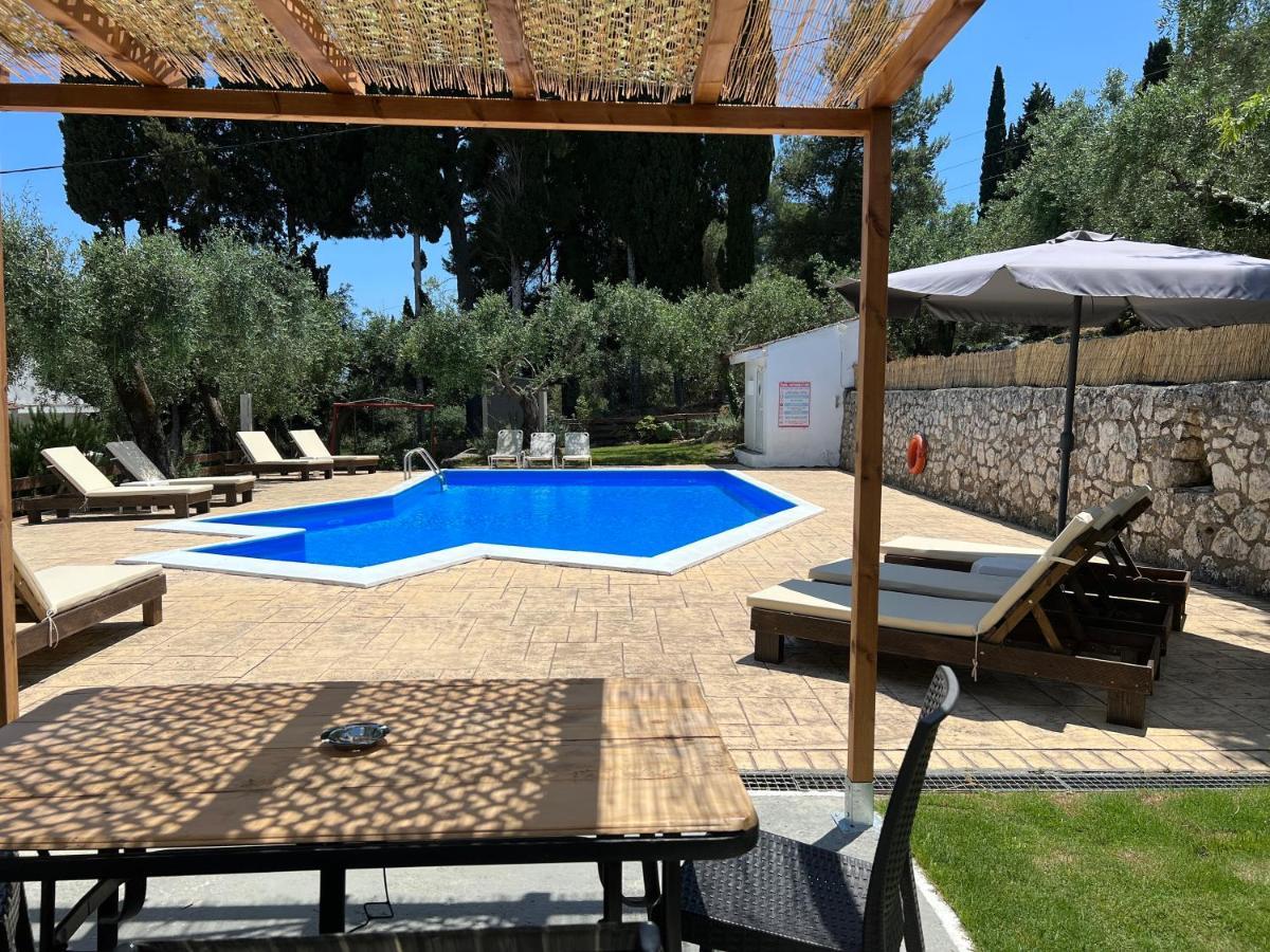 Olive Grove Poolside